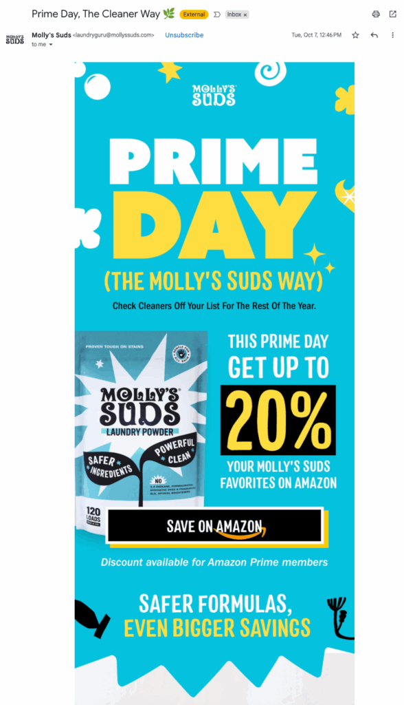 Image-Based Emails | Molly's Suds Example