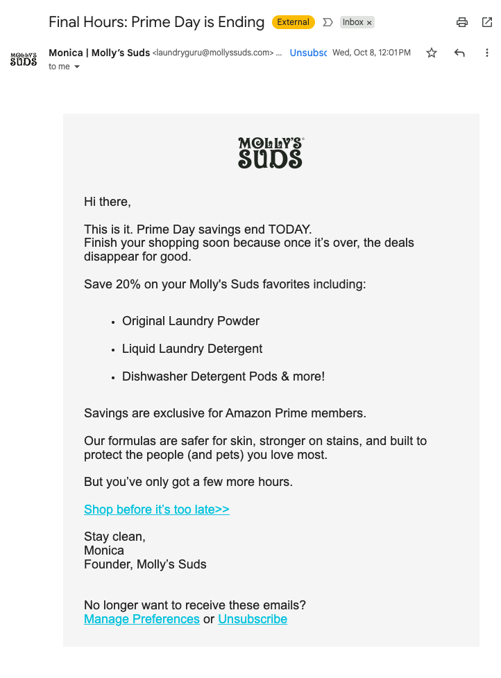 Text-Based Email | Molly's Suds Example